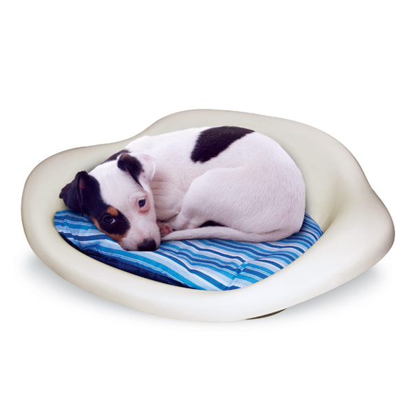 plastic puppy bed