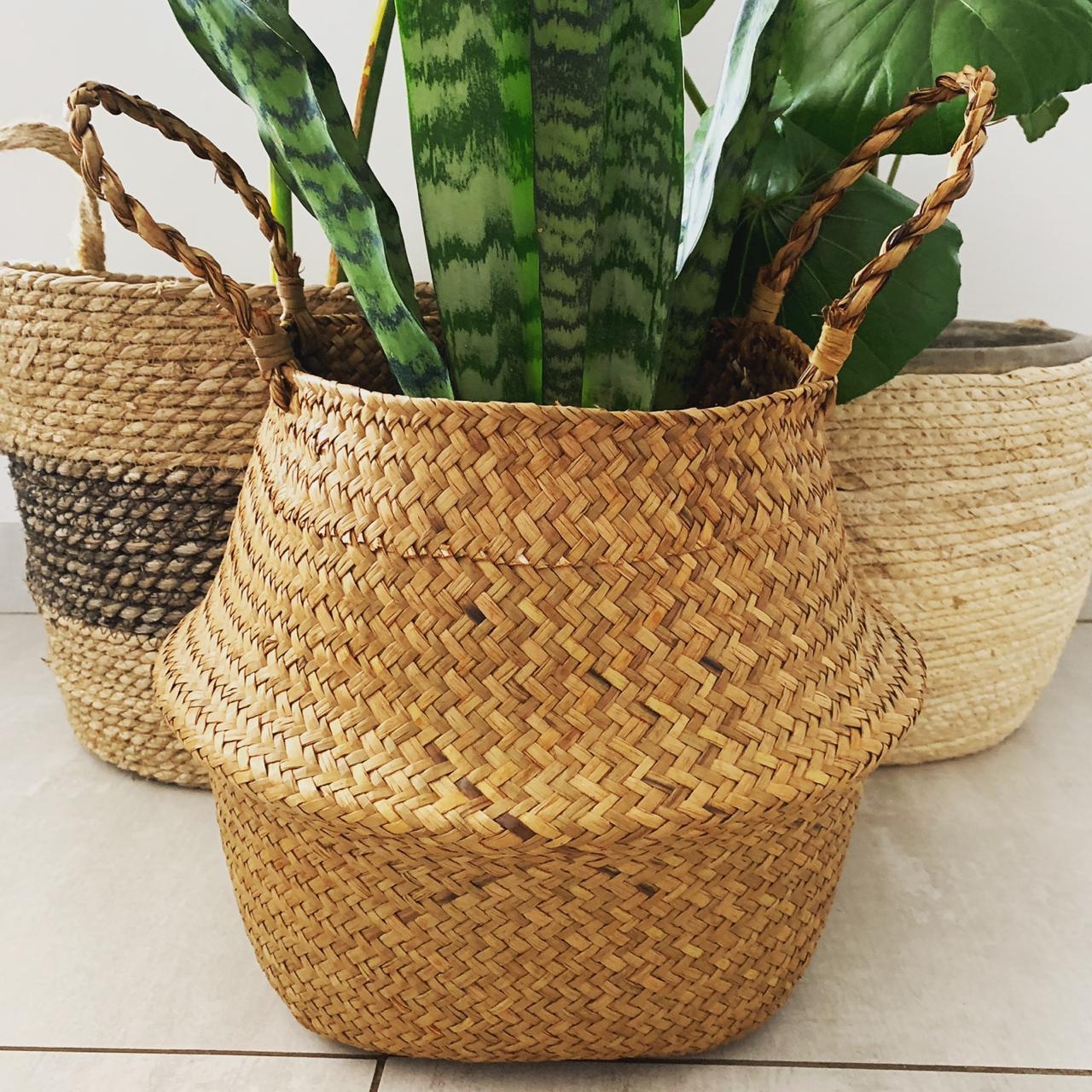 27 off on Basketly Set of 2 Sea Grass Belly Baskets OneDayOnly.co.za