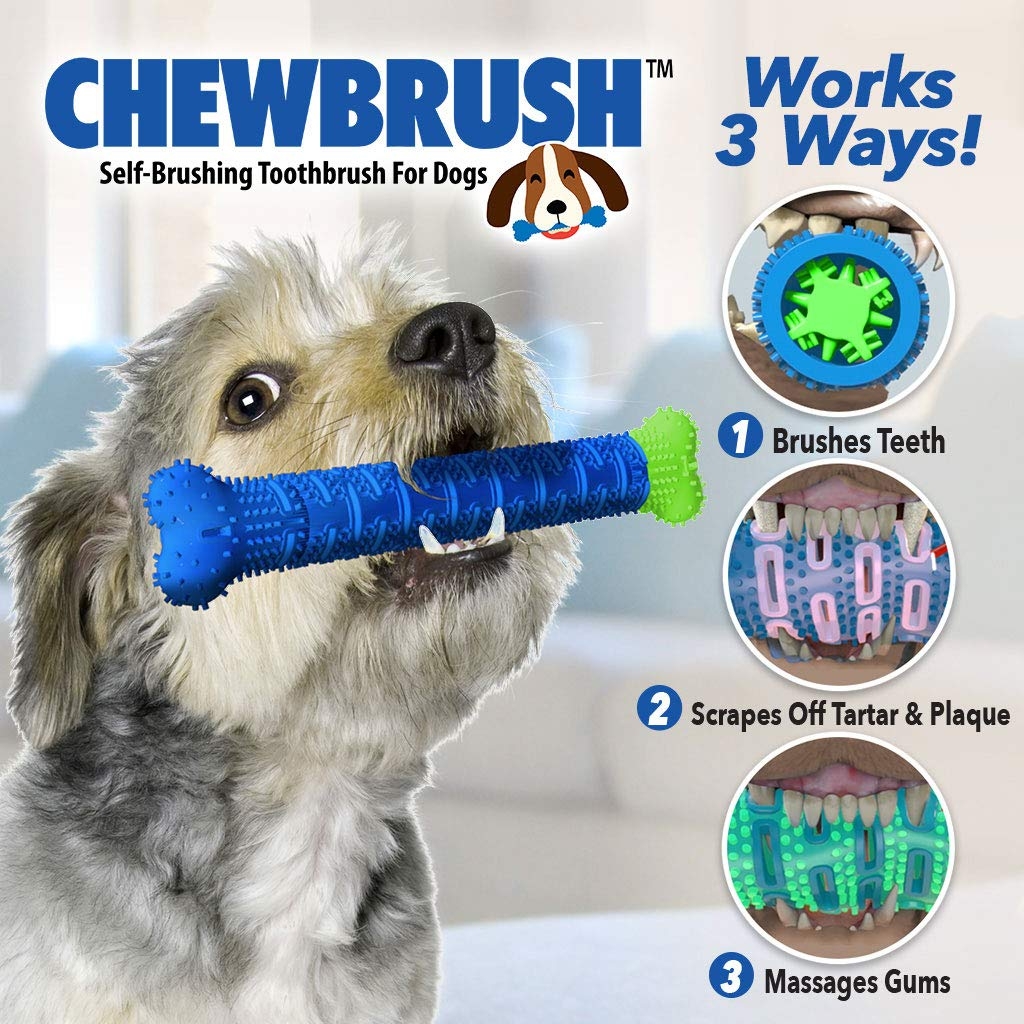 57 off on Pack of 2 Selfbrushing Toothbrushes for Dogs