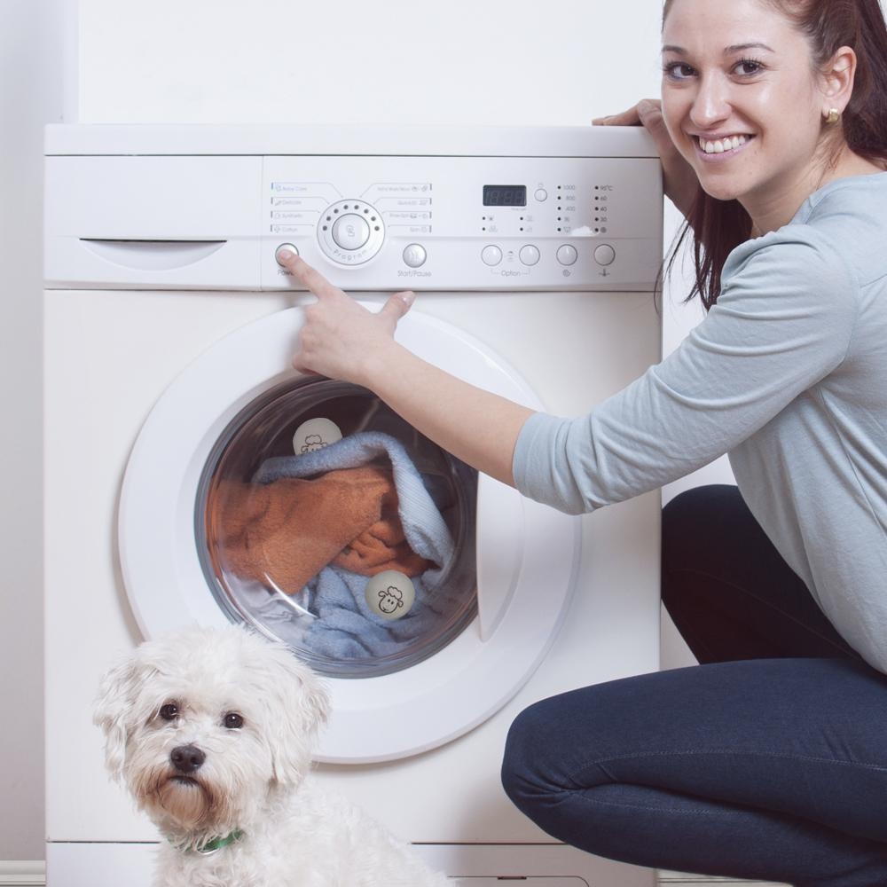 dryer sheep