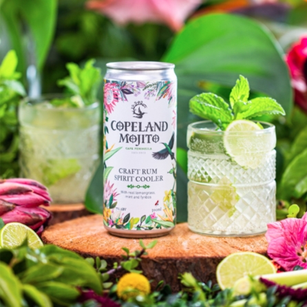 24% off on 300ml Ready To Drink Mojito (R26.58 Per Can, 12 ...