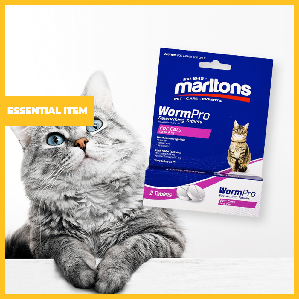 Pack of 4 WormPro 2 Up to 8kg Cat Deworming Tablets (Reg. No. G4270