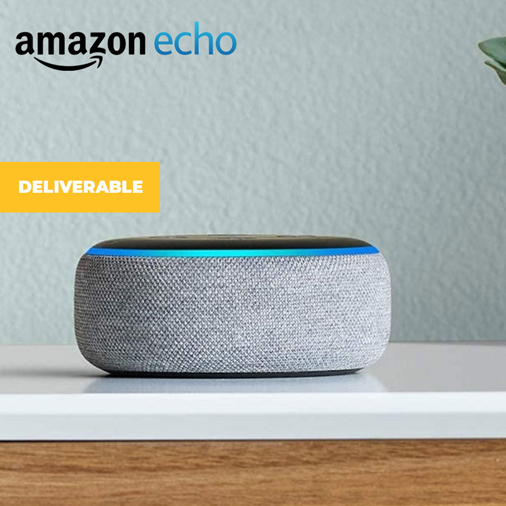 echo dot without alexa