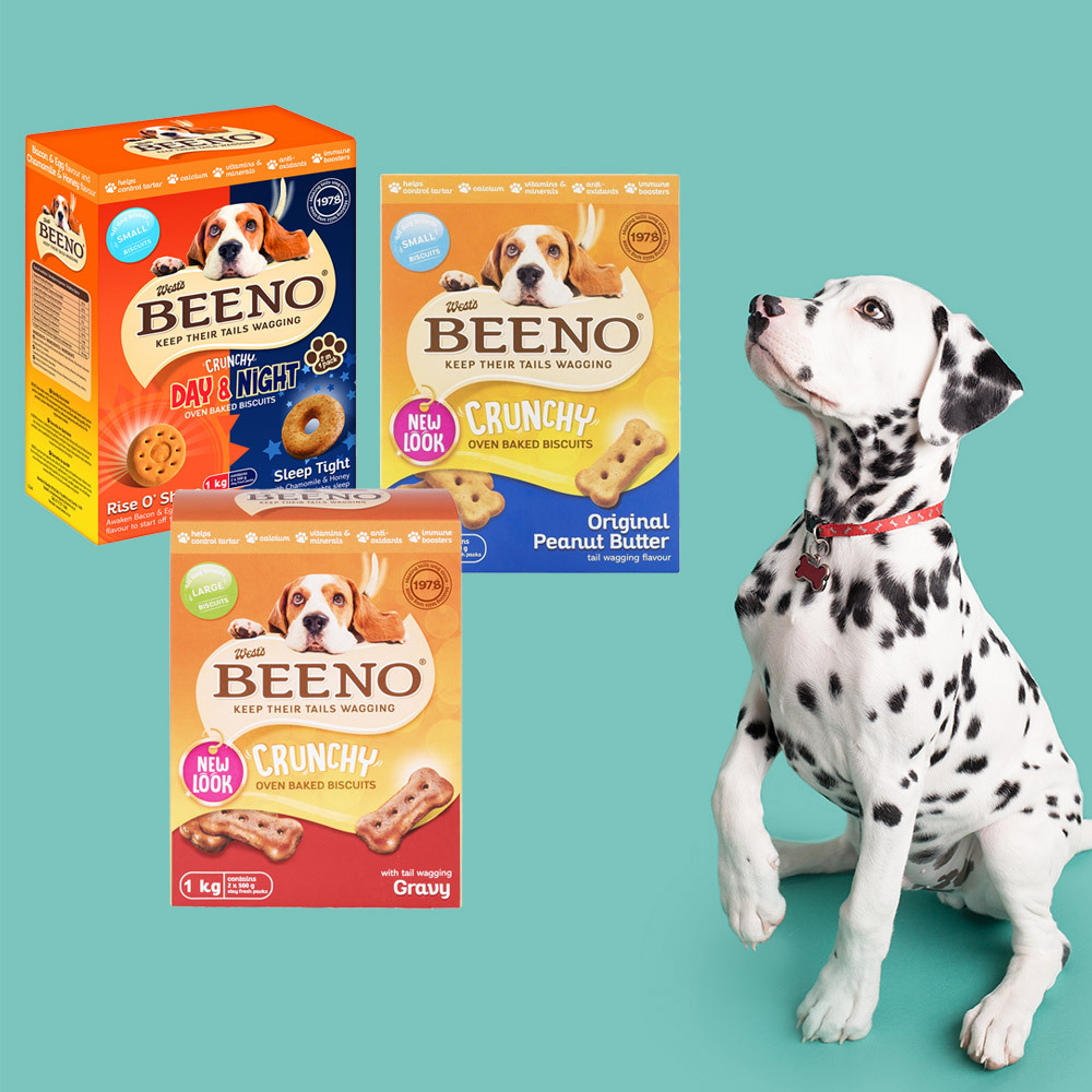 beeno dog biscuits specials