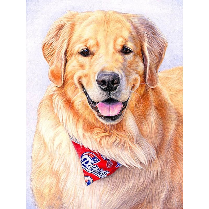 38 Off On 5d Diy Diamond Painting By Numbers Kit