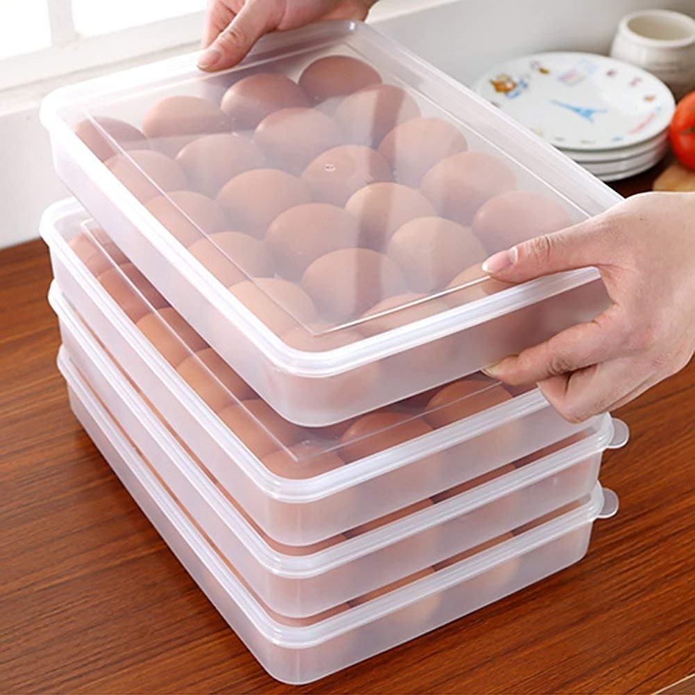 38 off on Easy Storage Pack of 2 Plastic Egg Container (Hold 30 Eggs