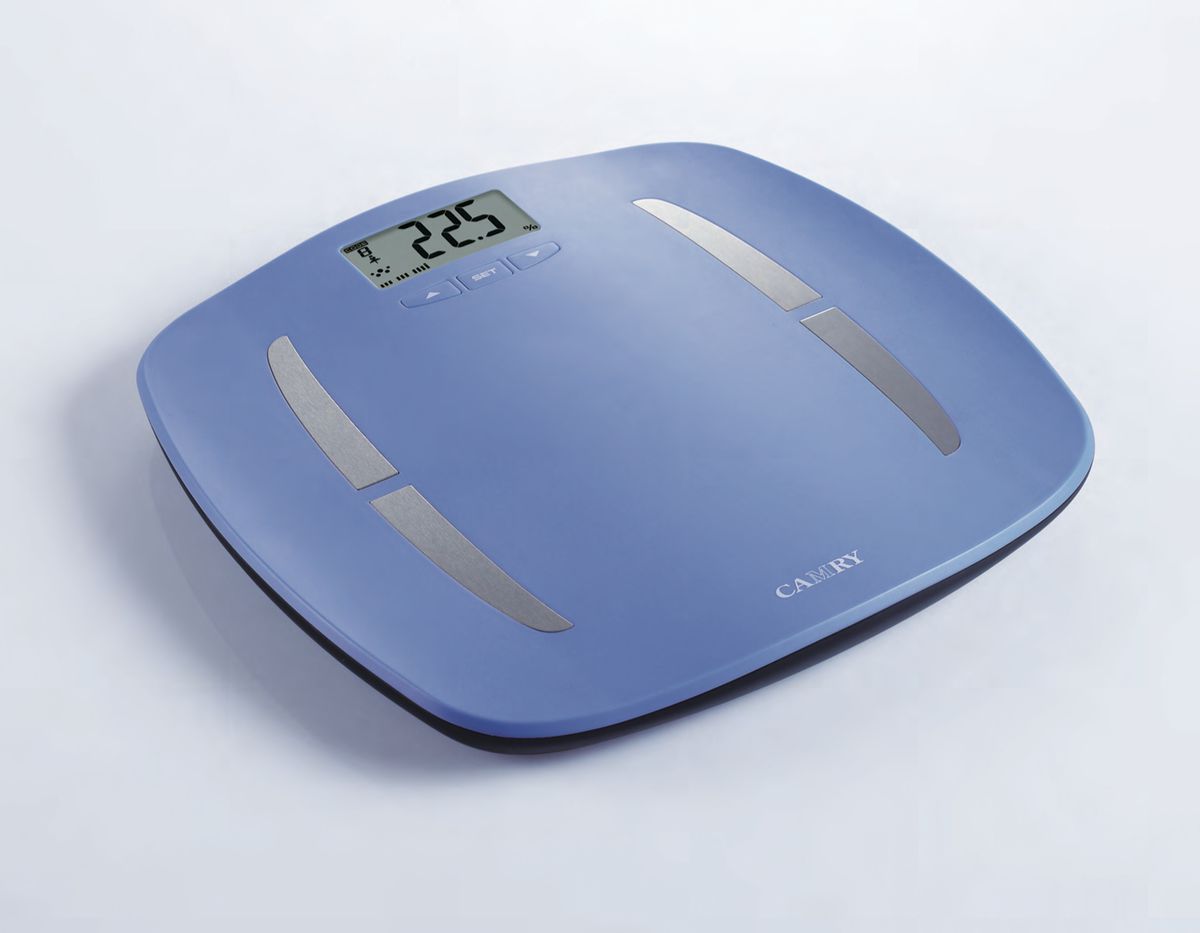 46 off on Camry Body Fat/Hydration Monitor Scale OneDayOnly.co.za