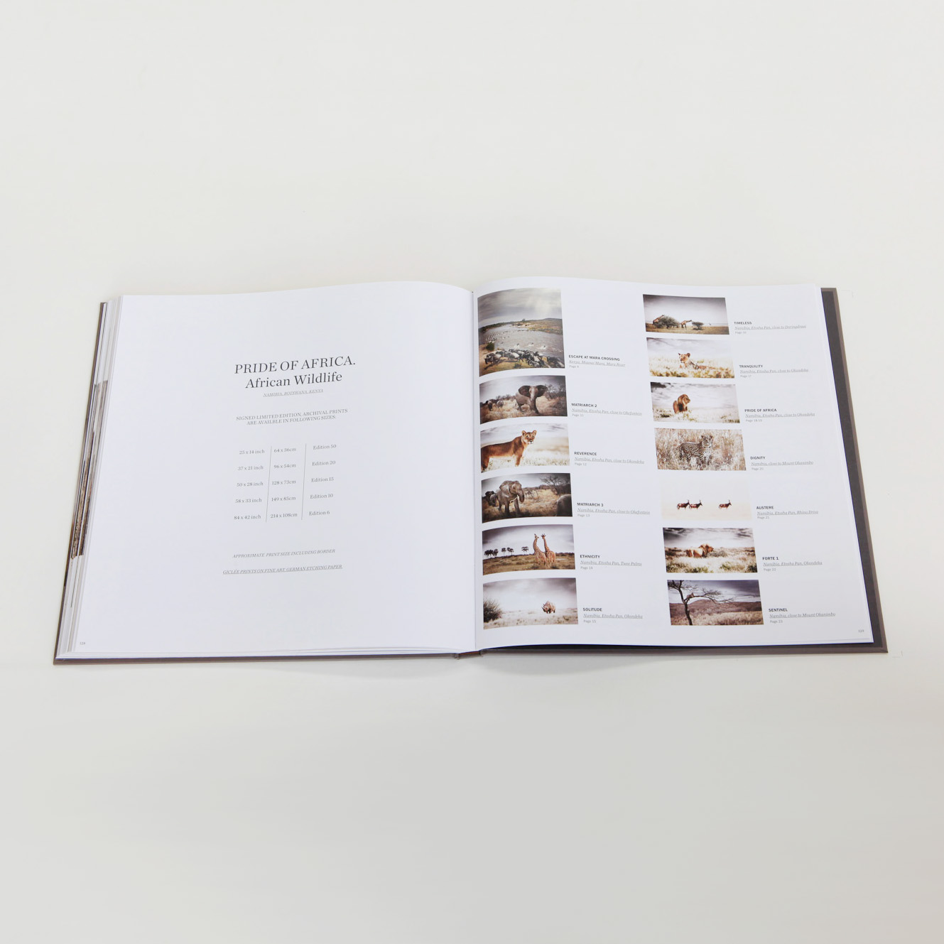 29 off on African Fine Art Pride of Africa Coffee Table Book