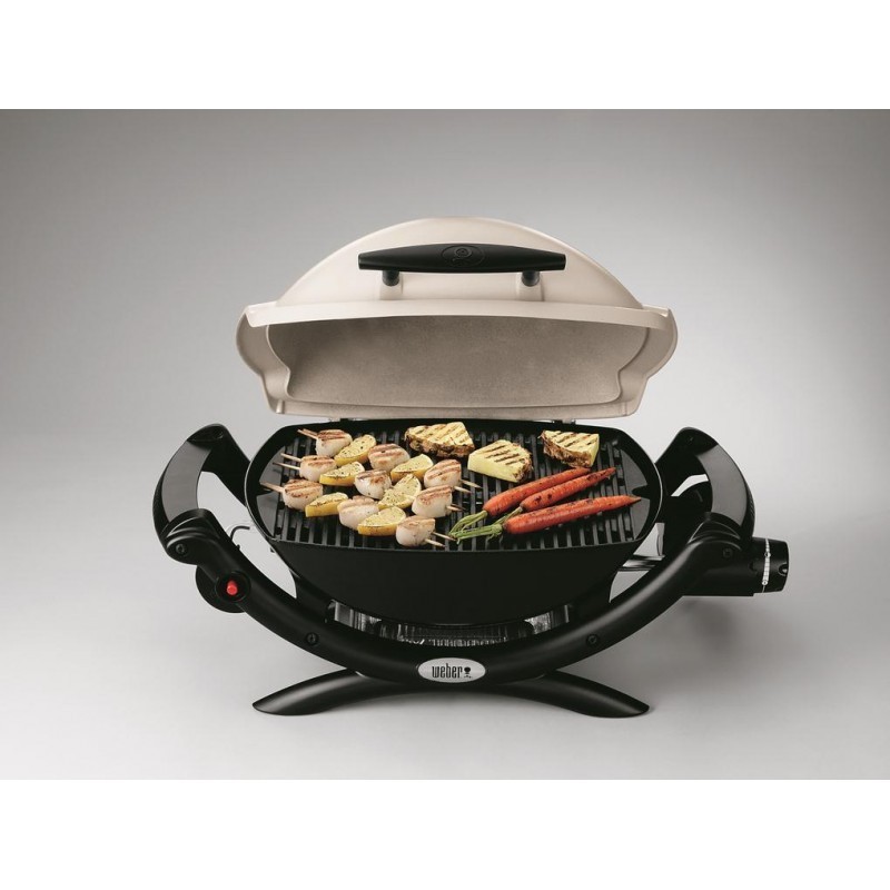 20 off on er Q 1000 Gas Braai OneDayOnly.co.za