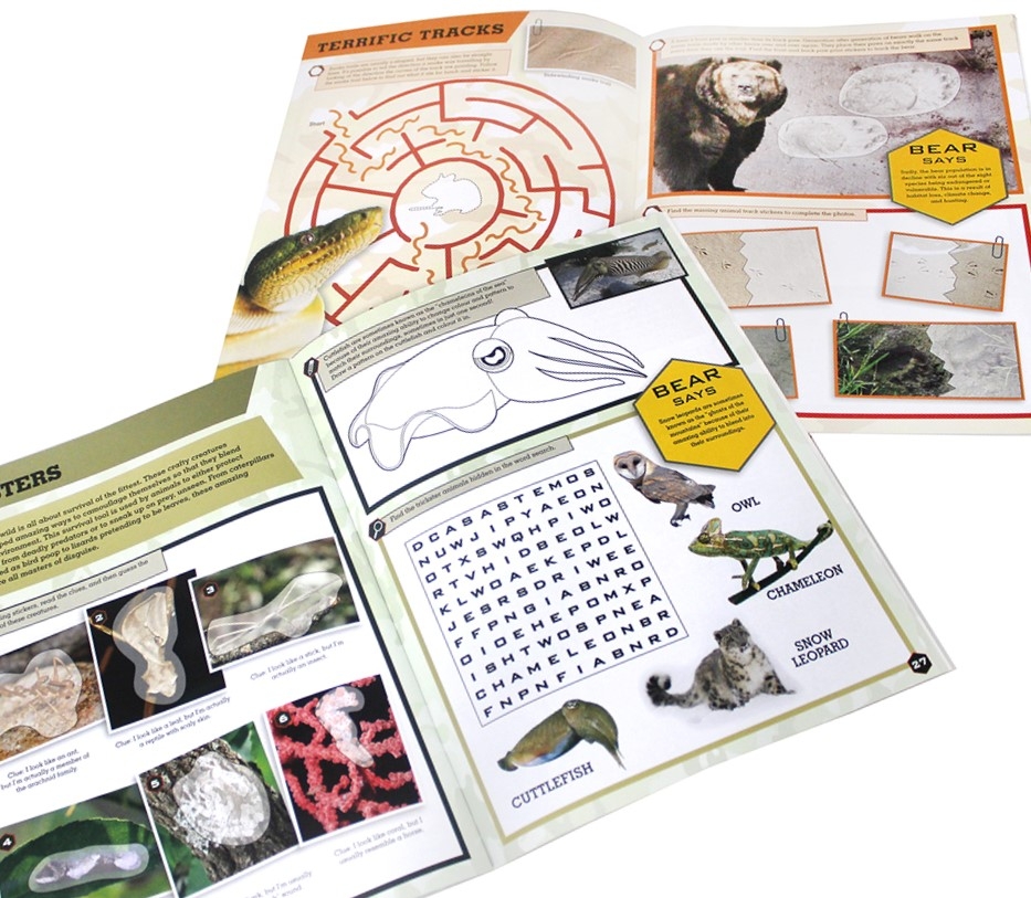 52% off on Bear Grylls Activity and Colouring Set (6 Books ...