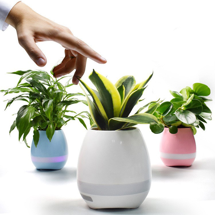 musical plant pot