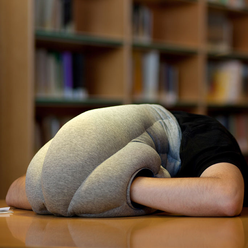 40 Off On Ostrich Power Nap Pillow The Travel Pillow That
