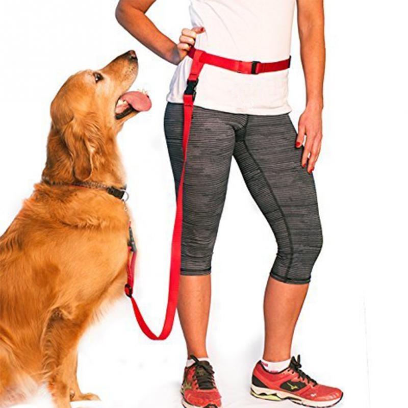 31 off on 3Piece Adjustable HandsFree Running Dog Leash
