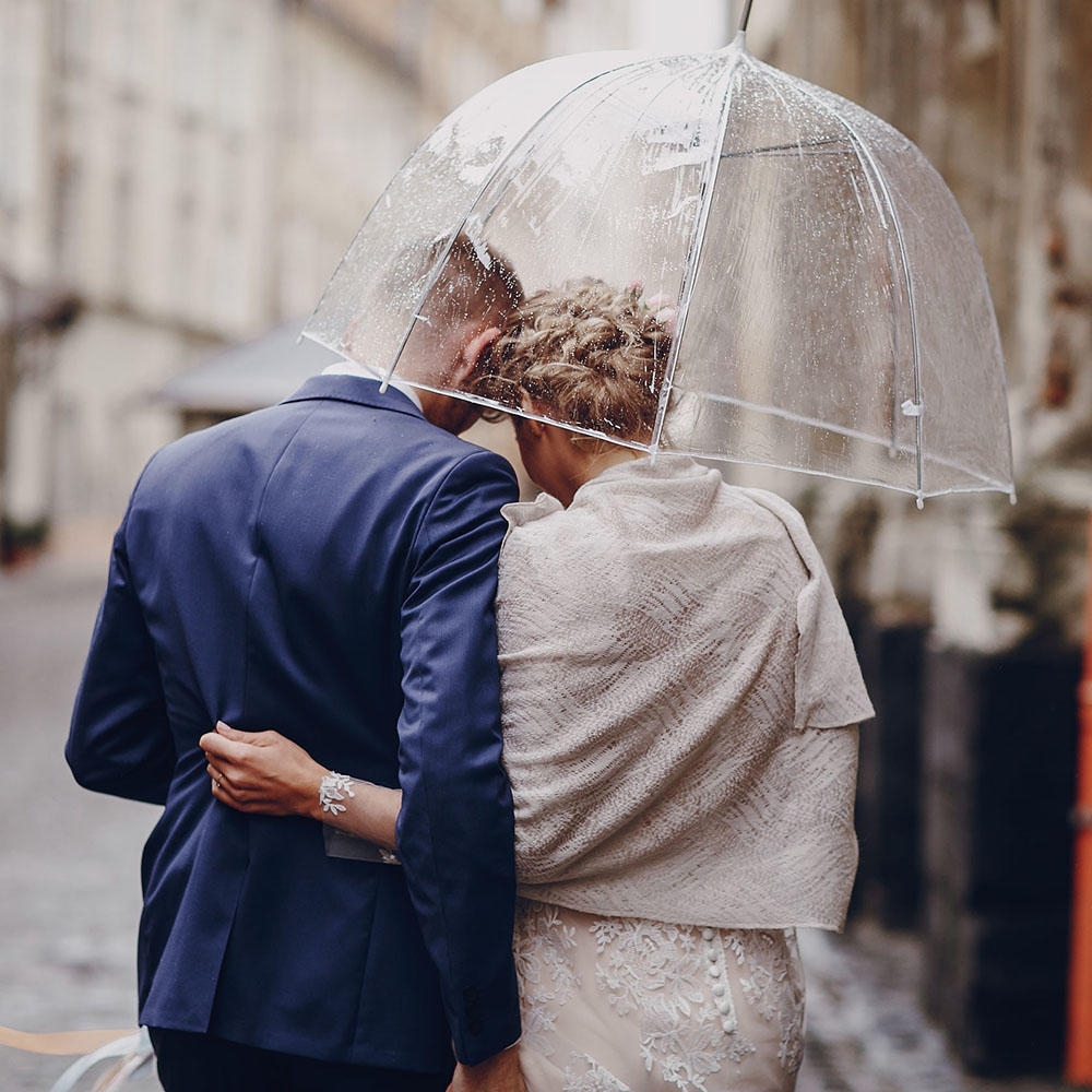 clear dome umbrella