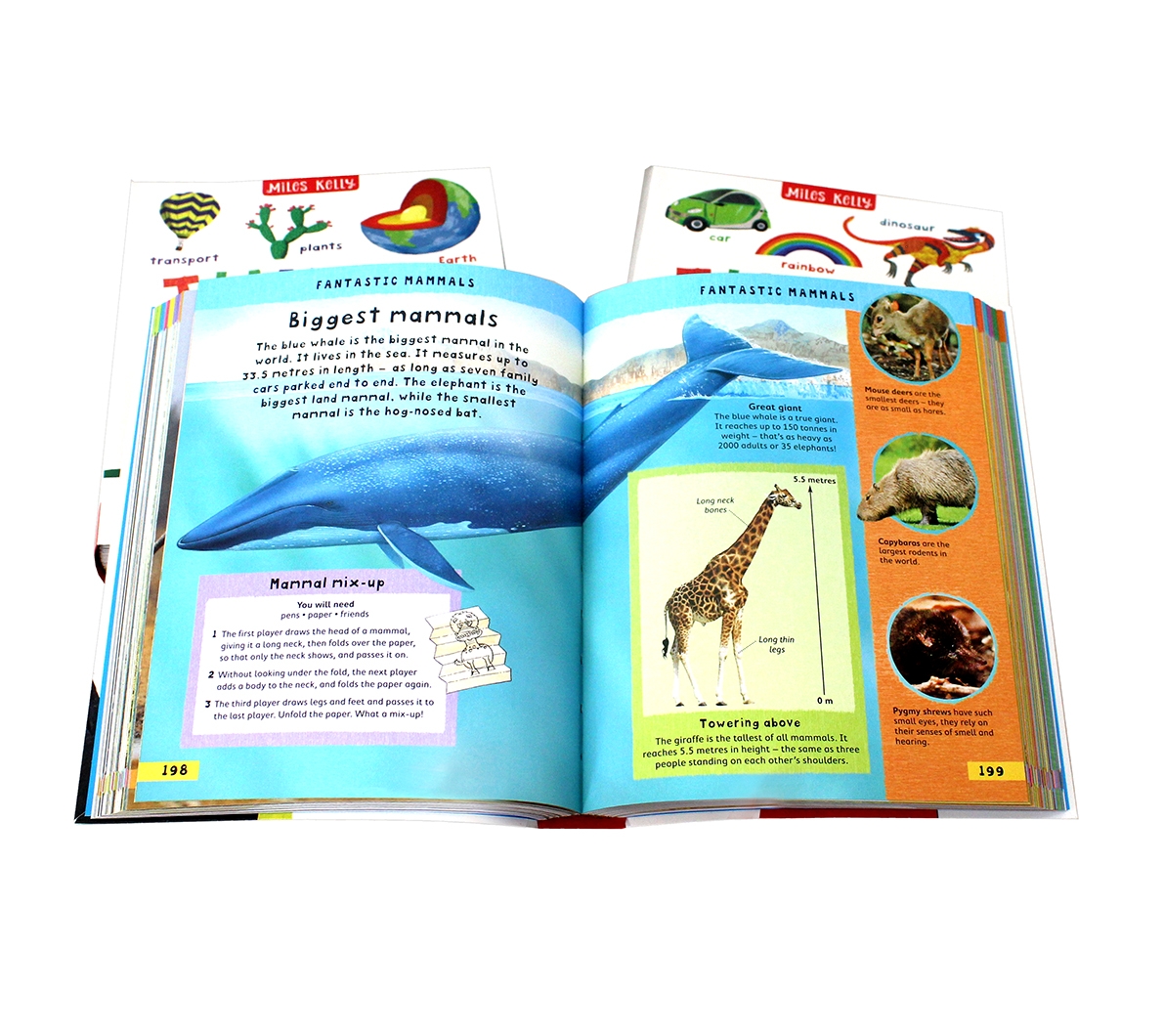 67 off on Miles Kelly Junior Picture Dictionary, Dictionary