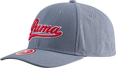 puma fitted cap