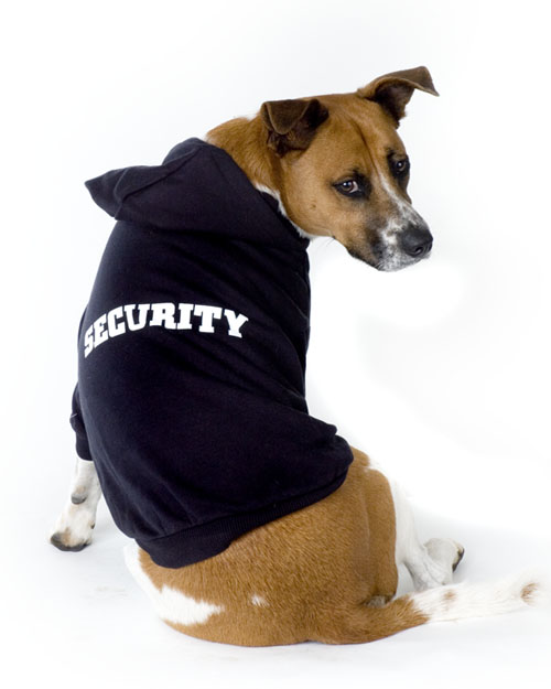 dog security hoodie