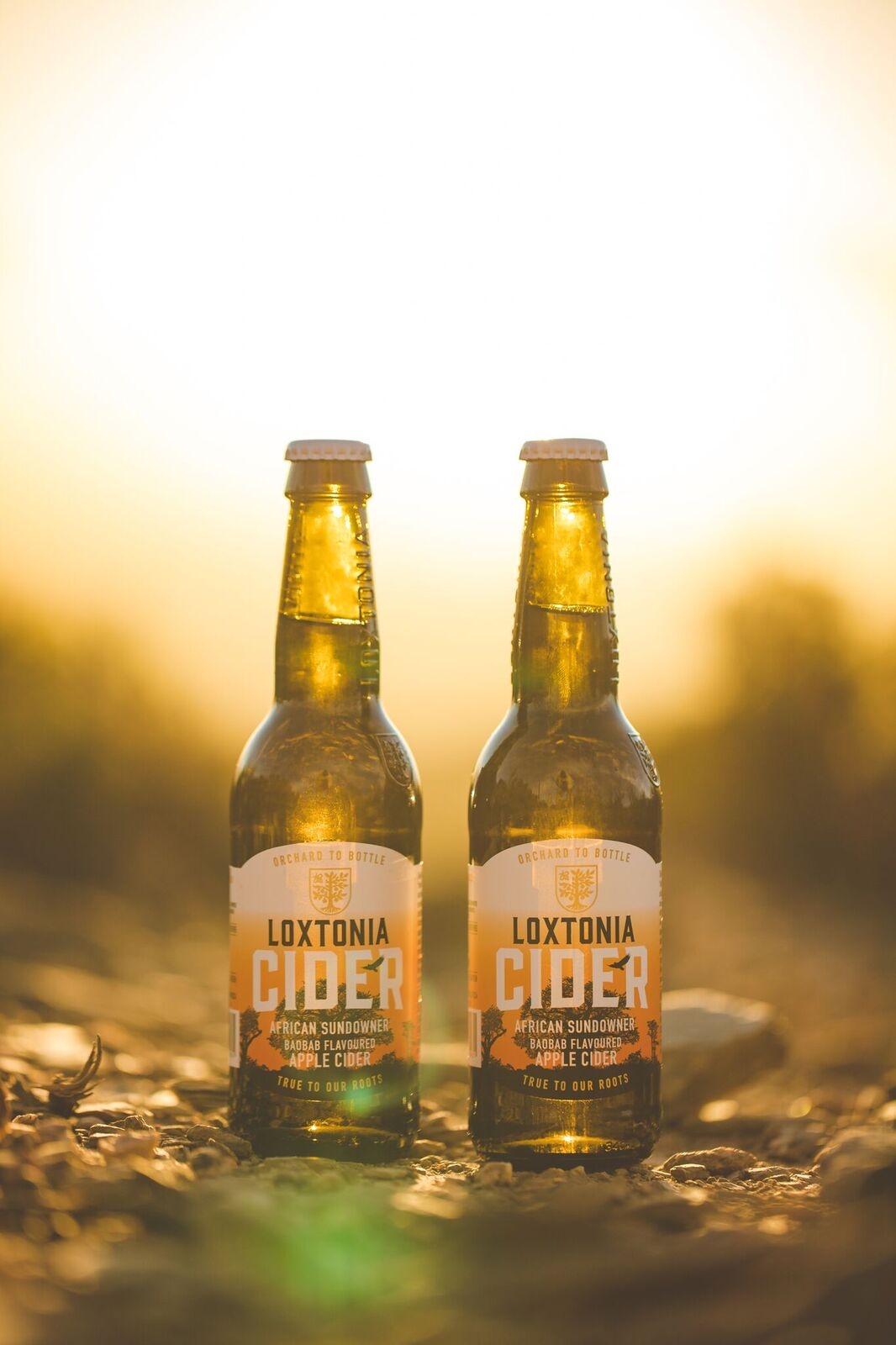 20 off on Loxtonia Cider Case of 24 African Sundowner Baobab Apple