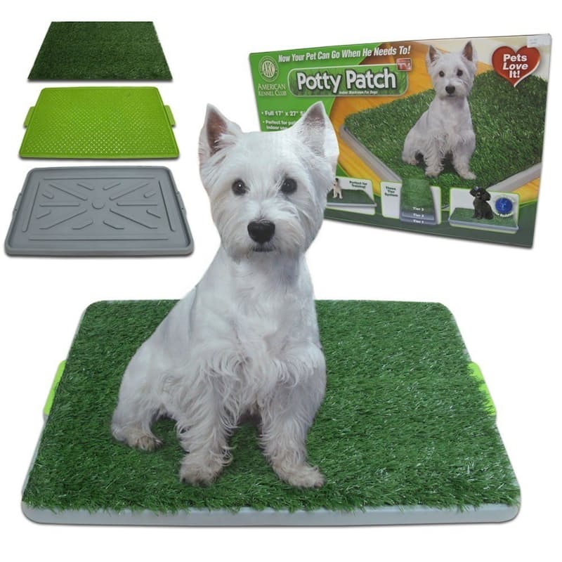 40 Off On Potty Patch Indoor Dog Potty Onedayonly Co Za